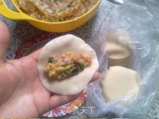 白菜猪肉锅贴的做法步骤：8
