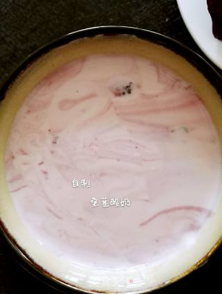 自制桑葚酸奶（烤箱版）的做法步骤：8