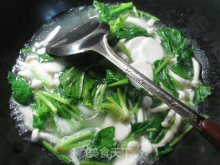 白玉菇菠菜煮年糕的做法步骤：4