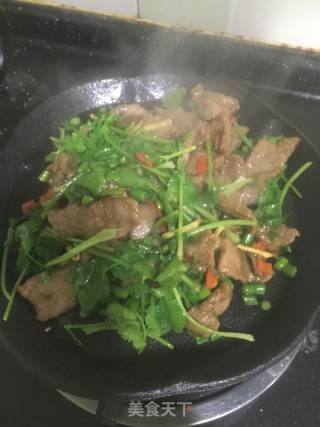 铁板牛肉的做法步骤：8