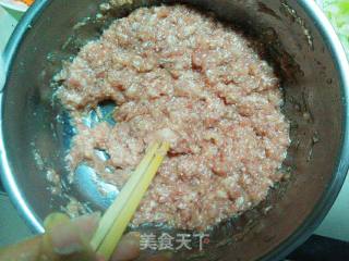 萝卜木耳肉包子的做法步骤：6