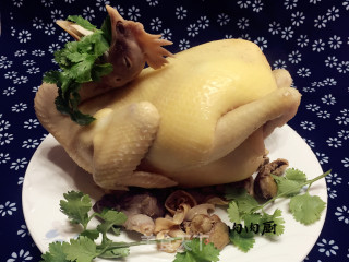 粤式秘制白切鸡#肉肉厨的做法步骤：13