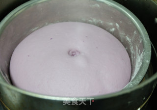 紫薯馒头的做法步骤：7