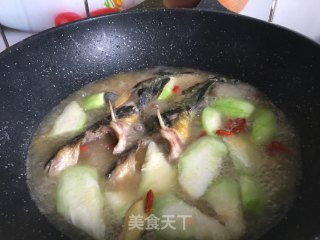 昂刺鱼丝瓜汤的做法步骤：9