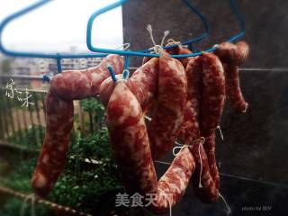 自制腊肠（妈妈的味道）的做法步骤：10