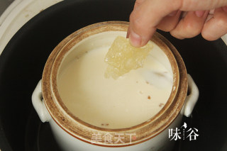 美白润肤的牛奶炖花胶的做法步骤：5