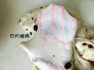 蔓越莓吐司的做法步骤：2