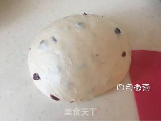 蔓越莓吐司的做法步骤：3