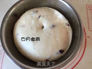 蔓越莓吐司的做法步骤：4