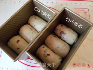 蔓越莓吐司的做法步骤：10