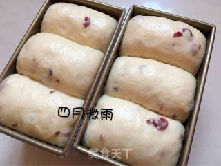 蔓越莓吐司的做法步骤：12