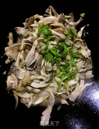 平菇炒鲜肉的做法步骤：8