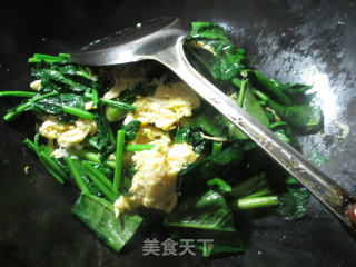 虾皮鸡蛋炒菠菜的做法步骤：5