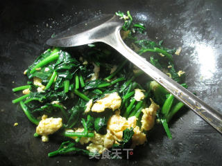 虾皮鸡蛋炒菠菜的做法步骤：7