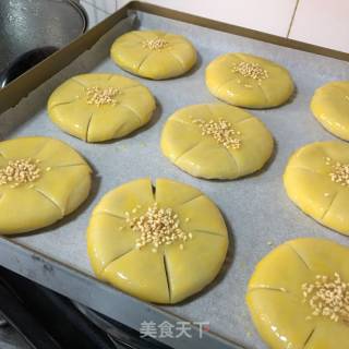 梅花酥的做法步骤：7