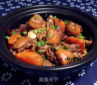 胡萝卜羊肉煲#肉肉厨的做法步骤：14