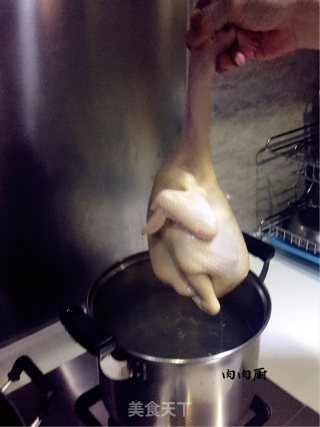 湛江沙姜鸡#肉肉厨的做法步骤：5