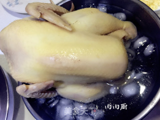 湛江沙姜鸡#肉肉厨的做法步骤：7