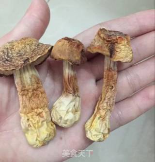 鲨鱼骨松茸竹荪骨头汤的做法步骤：3