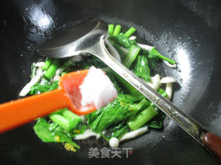 白玉菇炒油菜蕻的做法步骤：6