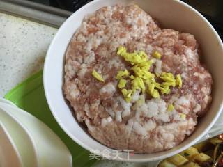 炒肉酱（杂酱帽子）的做法步骤：2