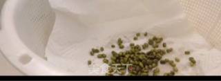 自发绿豆芽的做法步骤：4