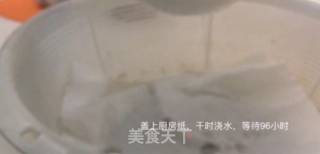 自发绿豆芽的做法步骤：5