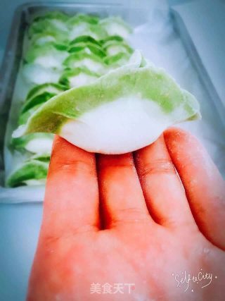 青汁白菜水饺的做法步骤：7