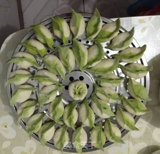 手工无任何添加物的饺子的做法步骤：3