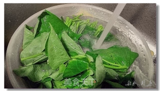 蒜炒苕尖的做法步骤：1