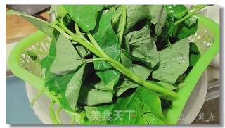 蒜炒苕尖的做法步骤：2