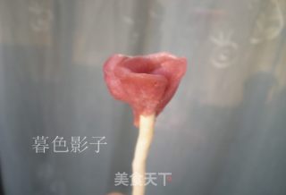 干枝梅的做法步骤：6