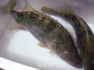 清蒸鳜鱼（私房菜—1）的做法步骤：1