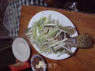 清蒸鳜鱼（私房菜—1）的做法步骤：6