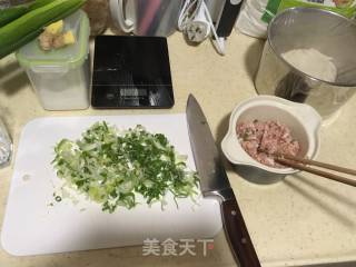 酥脆葱香肉饼饼的做法步骤：2