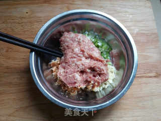 美味肉馅的做法步骤：6