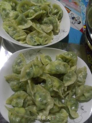韭菜鸡蛋饺子的做法步骤：6