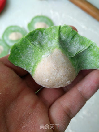 白菜饺子的做法步骤：12