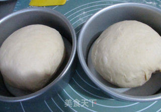牛油果乳酪面包的做法步骤：10