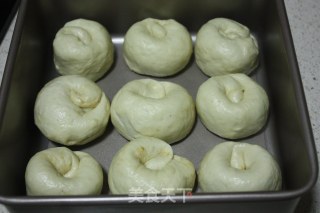 葱香肉松包（波兰种）的做法步骤：9