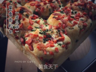 葱香肉松包（波兰种）的做法步骤：13