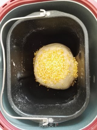 橙皮土司的做法步骤：8