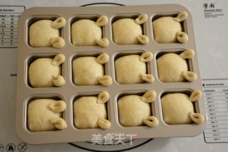 小兔子全麦面包的做法步骤：7