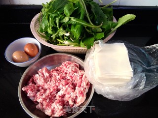 蒲公英肉馄饨的做法步骤：1