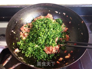 蒲公英肉馄饨的做法步骤：5