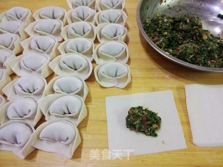 蒲公英肉馄饨的做法步骤：7