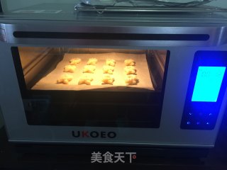 柏林花环饼干的做法步骤：14
