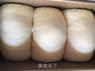 土司--成熟的方子的做法步骤：19