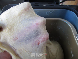 蔓越莓胚芽面包的做法步骤：5