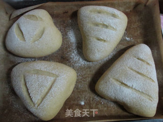 蔓越莓胚芽面包的做法步骤：12